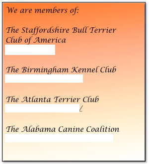 We are members of:

The Staffordshire Bull Terrier Club of America
www.sbtca.com 

The Birmingham Kennel Club 
www.birminghamkc.org

The Atlanta Terrier Club
http://atc.dnnsites.com/

The Alabama Canine Coalition
www.alabamacaninecoalition.org